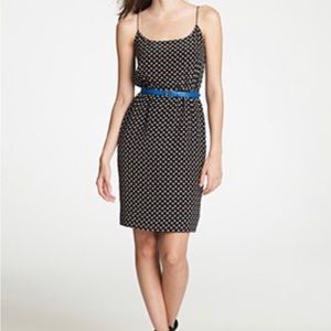 JCrew silk polka dot dress | 2